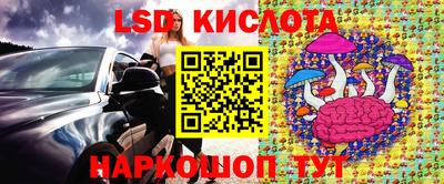 Альфа ПВП Гусев