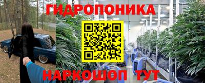 Альфа ПВП Гусев