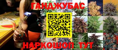 Альфа ПВП Гусев