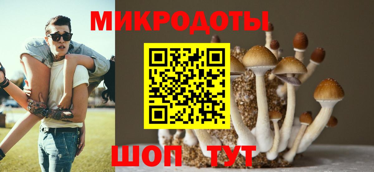 Нижний Тагил  Псилоцибиновые грибы Magic Shrooms  Вход с VPN 