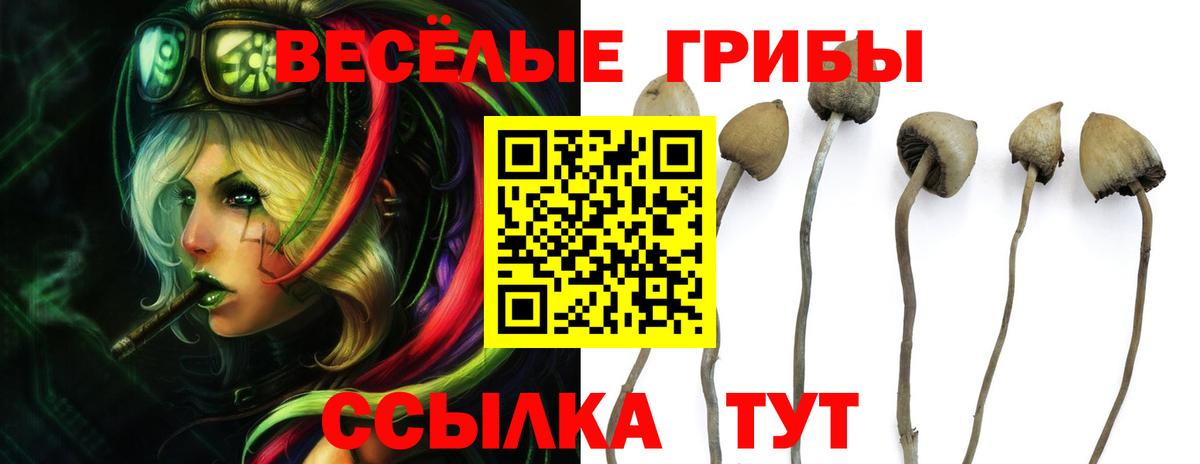 Псилоцибиновые грибы MAGIC MUSHROOMS Нижний Тагил